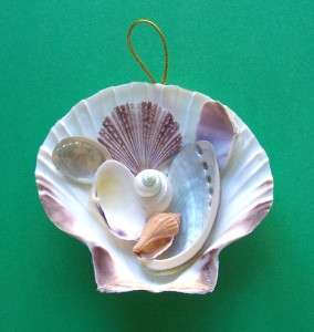 Colorful Shell Hanging Collage Christmas Holiday Ornaments 4  