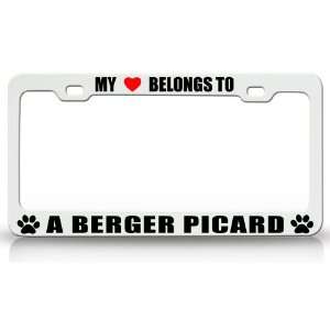 MY HEART BELONGS TO A BERGER PICARD Dog Pet Steel Metal Auto License 
