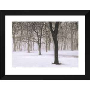   FRAMED Art 28x36 Snow On The Common, Vermont
