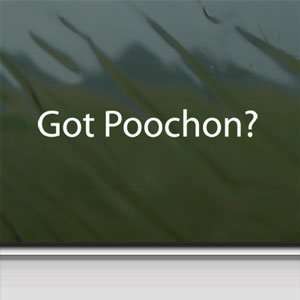  Got Poochon? White Sticker Bichon Frise Poodle Laptop 