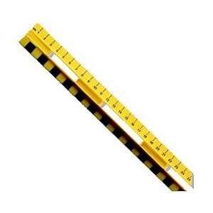 package of 10 units of Ruler, Primary, Metric Scale, 30 cm  