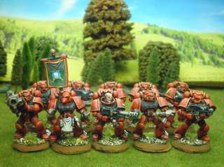 Warhammer DPS painted Blood Angels Tactical Squad BA005  