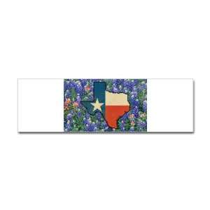  Bumper Sticker Texas Flag Bluebonnets 
