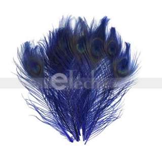Lot100 Dyed Feather PEACOCK TAILS 10 12 Blue Feathers  