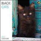 Black Cats 2012 Wall Calendar Calender 12x12 ~ NEW  