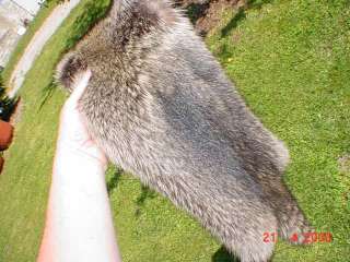 A+ Best Raccoon pelt silver tip fur tanned hide skin  