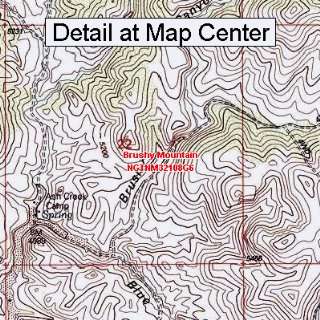  USGS Topographic Quadrangle Map   Brushy Mountain, New 