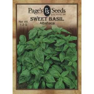 Basil, Sweet Patio, Lawn & Garden