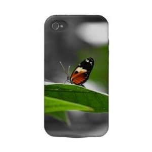  Tropical Swallowtail Iphone 4 Tough Covers Electronics