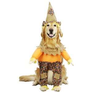  Dog Costumes   Little Scarecrow Dog Costume Medium Dog 