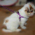   small dog pet leash $ 3 79   see suggestions