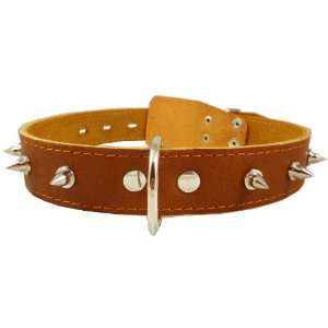 Genuine Leather Spiked Dog Collar for Large and XLarge Breeds 20 25 