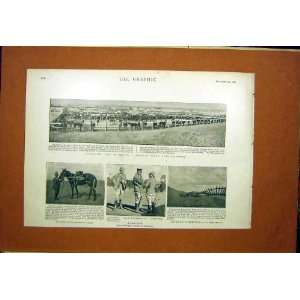 Port Elizabeth Strathcona Maxim Railway Boer Africa 
