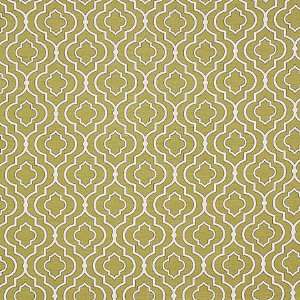 Patel Lime by Pinder Fabric Fabric