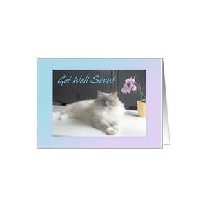  Get Well Soon Cat Animal Flower Pet Card Health 