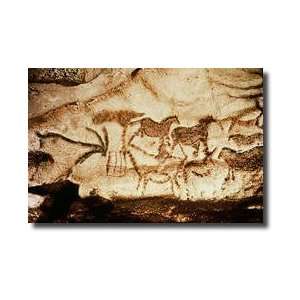  Horses And Deer From The Caves At Altamira C15000 Bc 