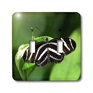   Animals   Betty Butterfly   Light Switch Covers   double toggle switch