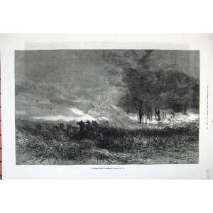  181 Fine Art Forest Fire America Trees Flames Horses