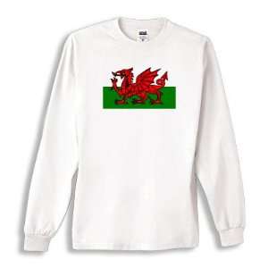  Wales LONGSLEEVE Tshirt SIZE ADULT MEDIUM Everything 