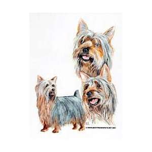  Silky Terrier Shirts