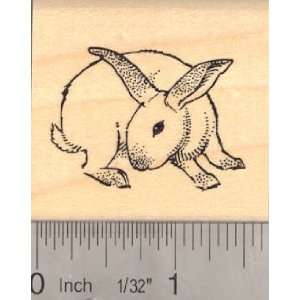  House Rabbit Rubber Stamp (Binkying Bunny) Arts, Crafts 