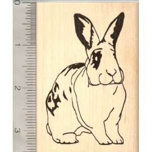  Spotted Domestic House Rabbit Rubber Stamp, Large Arts 