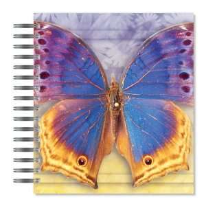  Butterfly Number 3 Picture Photo Album, 18 Pages, Holds 72 Photos, 7 