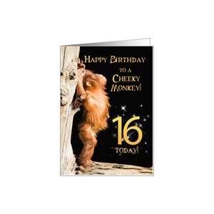    A 16th Birthday card for a Cheeky Monkey Card Toys & Games