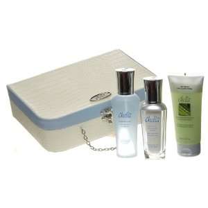 Chella Professional Skin Care 3 Product Gift Set for Normal to Dry 