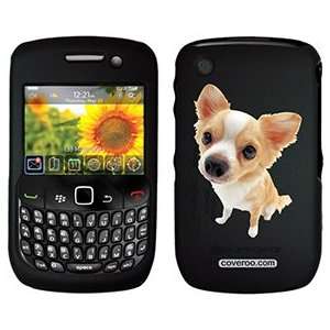  Chihuahua on PureGear Case for BlackBerry Curve  