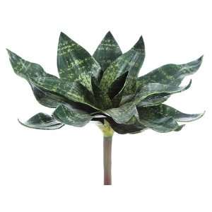  9 Mini Sansevieria Plant Green (Pack of 12) Patio, Lawn 