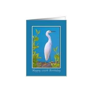  Birthday, 105th, Snowy Egret Bird Card Toys & Games