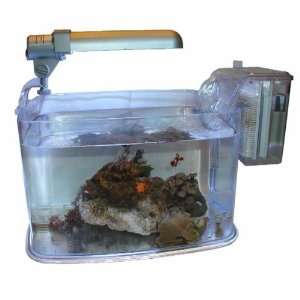  New Two Gallon Deco Nano Reef Aquarium Aquarium Kit With 
