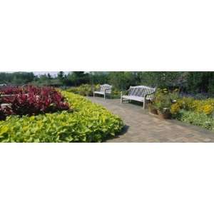  Plants in a Botanical Garden, Circle Garden, Chicago 