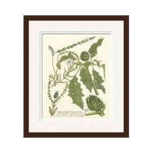  Weinmann Greenery Ii Framed Giclee Print