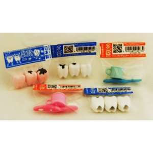  Iwako Dental & Teeth Erasers, a Set of 5 Packs, Made in 