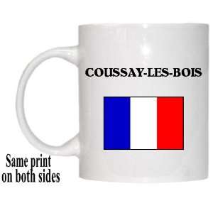  France   COUSSAY LES BOIS Mug 