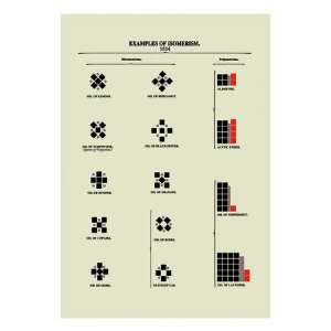  Examples of Isomerism by Edward L. Youmans, 24x32