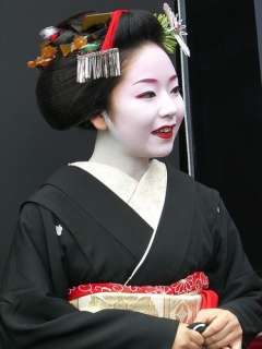 Vintage Japanese kanzashi geisha hair comb set white  