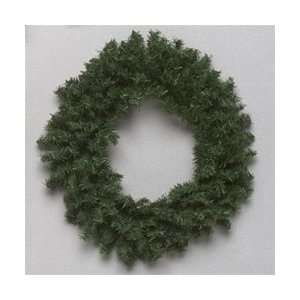  12 Mini Pine Wreath 140 Tips Arts, Crafts & Sewing