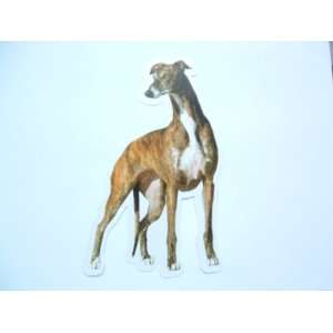  Greyhound Reusable Double Sided Window Sticker