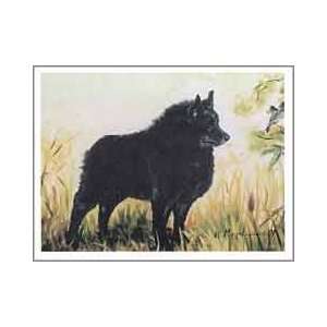  Schipperke in Field Notecards 