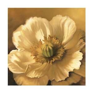  Daisy Portrait Giclee Poster Print by Lisa Audit, 24x24 