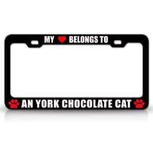 MY HEART BELONGS TO A YORK CHOCOLATE Cat Pet Auto License Plate Frame 