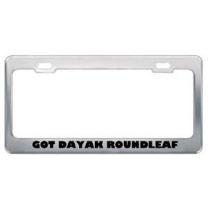 Got Dayak Roundleaf Bat? Animals Pets Metal License Plate Frame Holder 