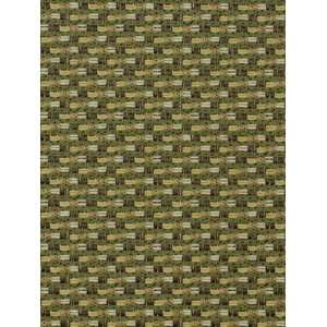    Jaisalmer Way Avocado by Robert Allen Fabric Arts, Crafts & Sewing