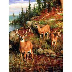  Deers By the River Fall Scene Mink Style Queen Size 