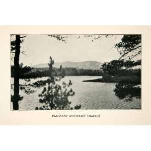   Maine Landscape Scenery Sebago Lake Region   Original Halftone Print