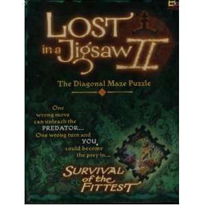 Lost in a Jigsaw II   The Diagonal Maze Puzzle   Survival 