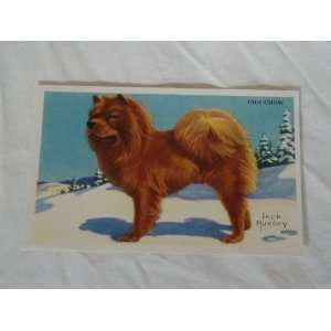  1950 Kellogg Dog Picture Card   Cho Chow 